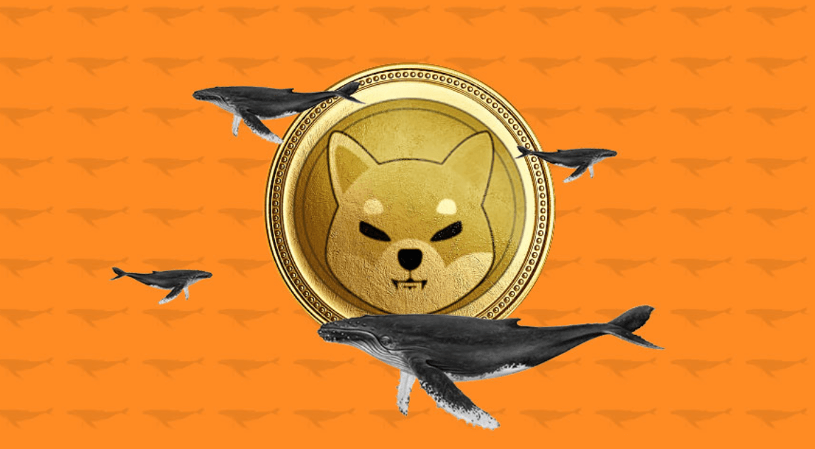 Inactive Shiba Inu Shib Whale Resurfaces Makes First Move By Purchasing Rival Crypto At